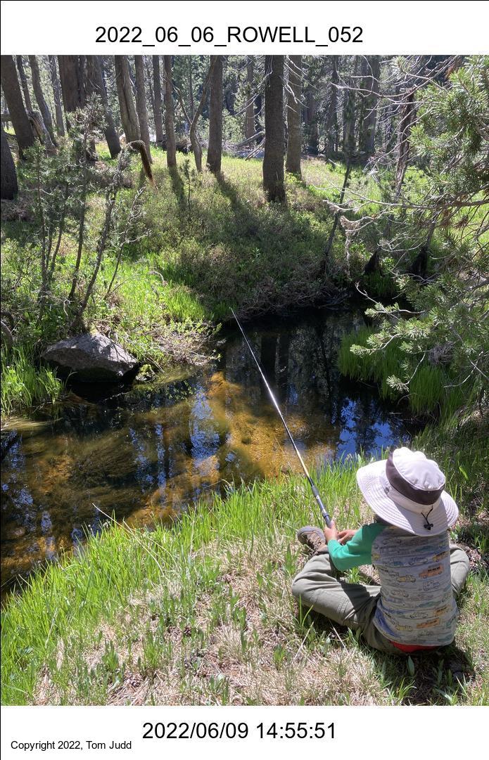 wtn_2022_06_06_rowell_052