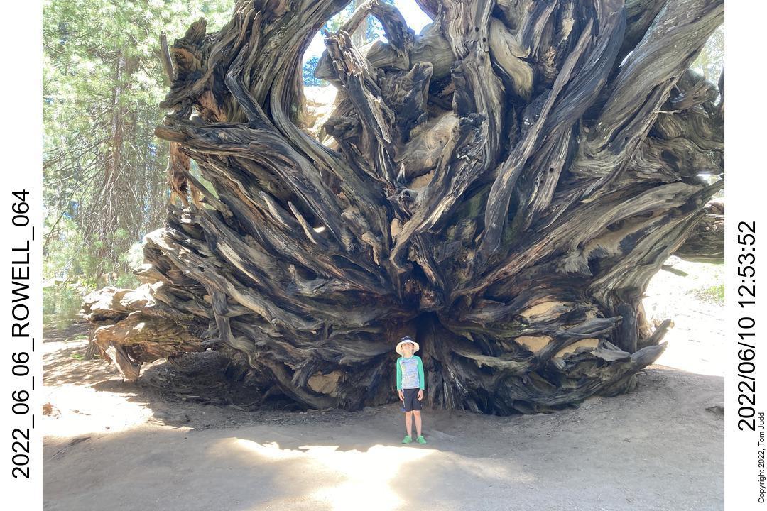 wtn_2022_06_06_rowell_064