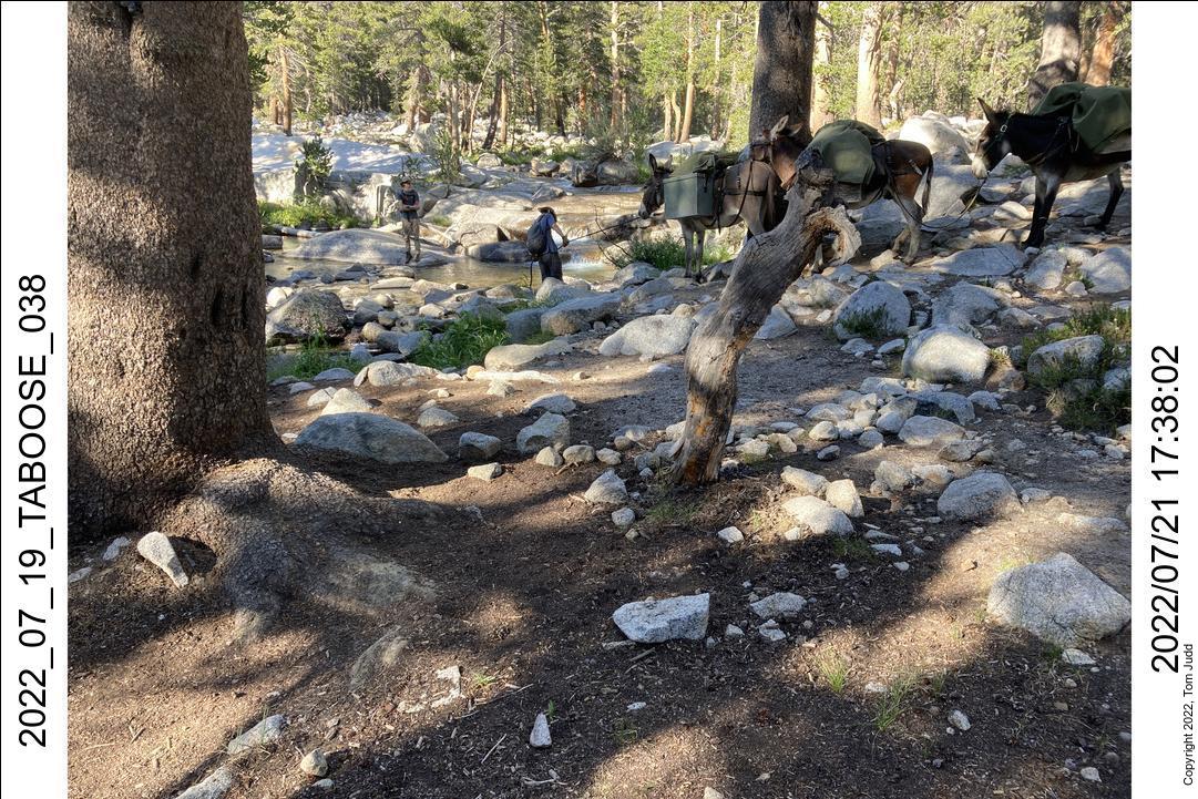 wtn_2022_07_19_taboose_038