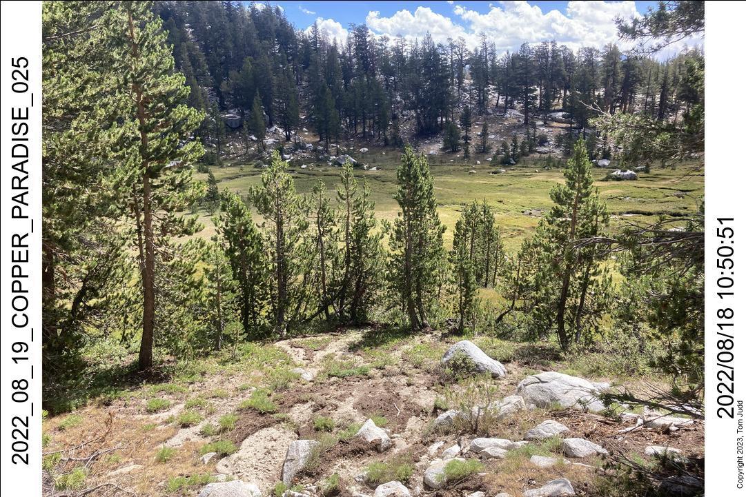 wtn_2022_08_19_copper_paradise_025