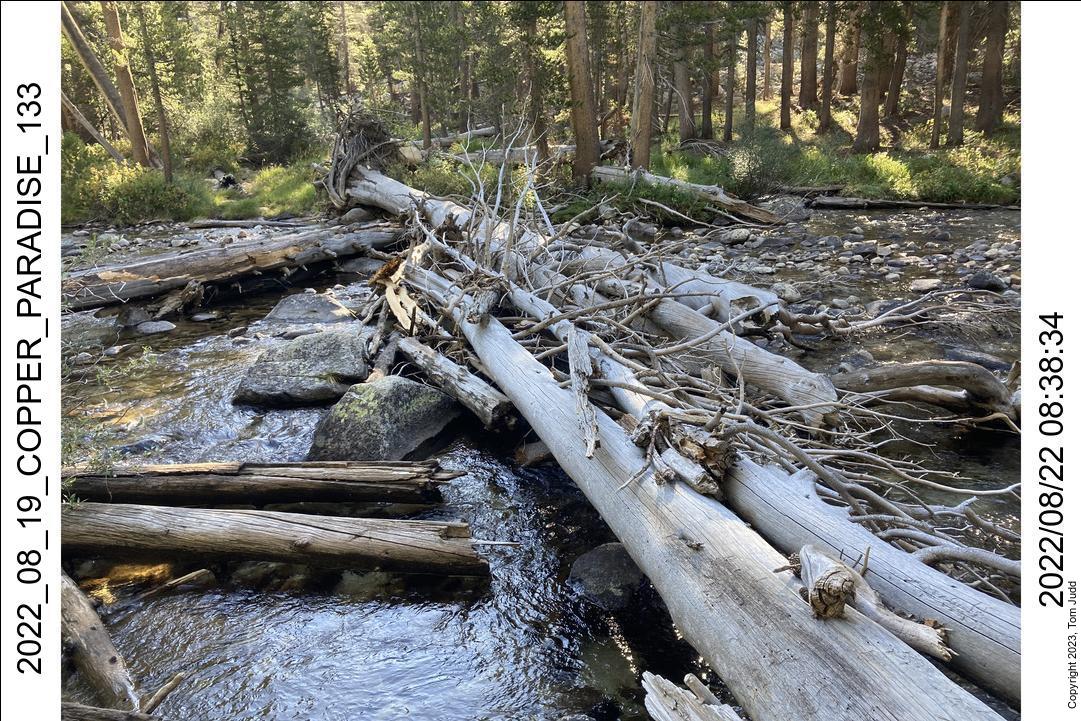 wtn_2022_08_19_copper_paradise_133