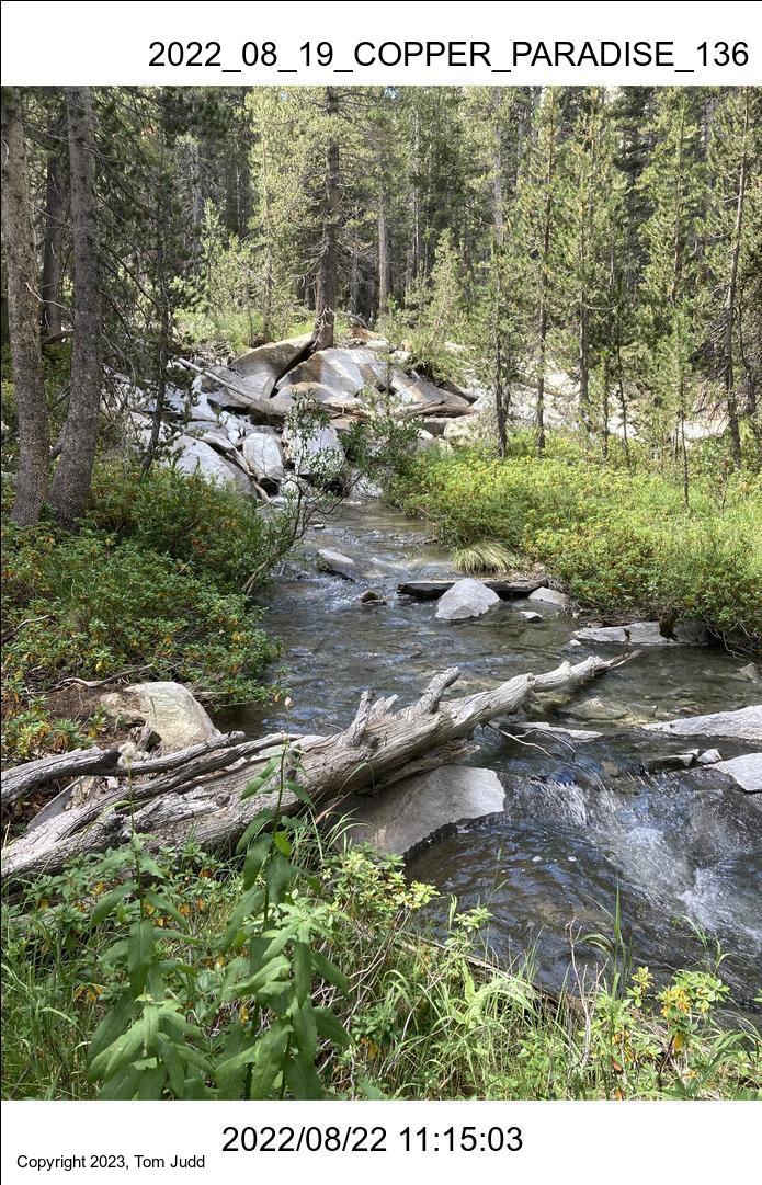 wtn_2022_08_19_copper_paradise_136