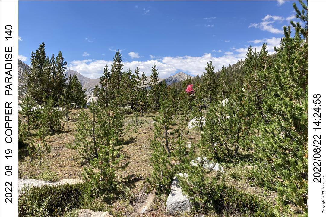 wtn_2022_08_19_copper_paradise_140