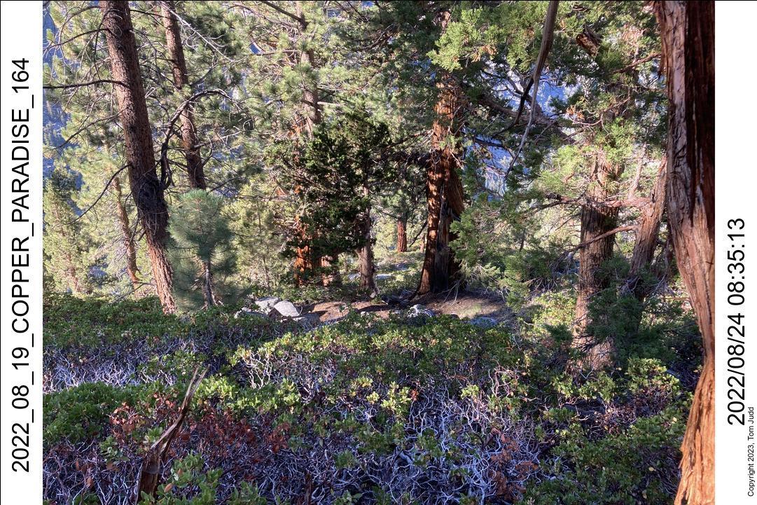 wtn_2022_08_19_copper_paradise_164