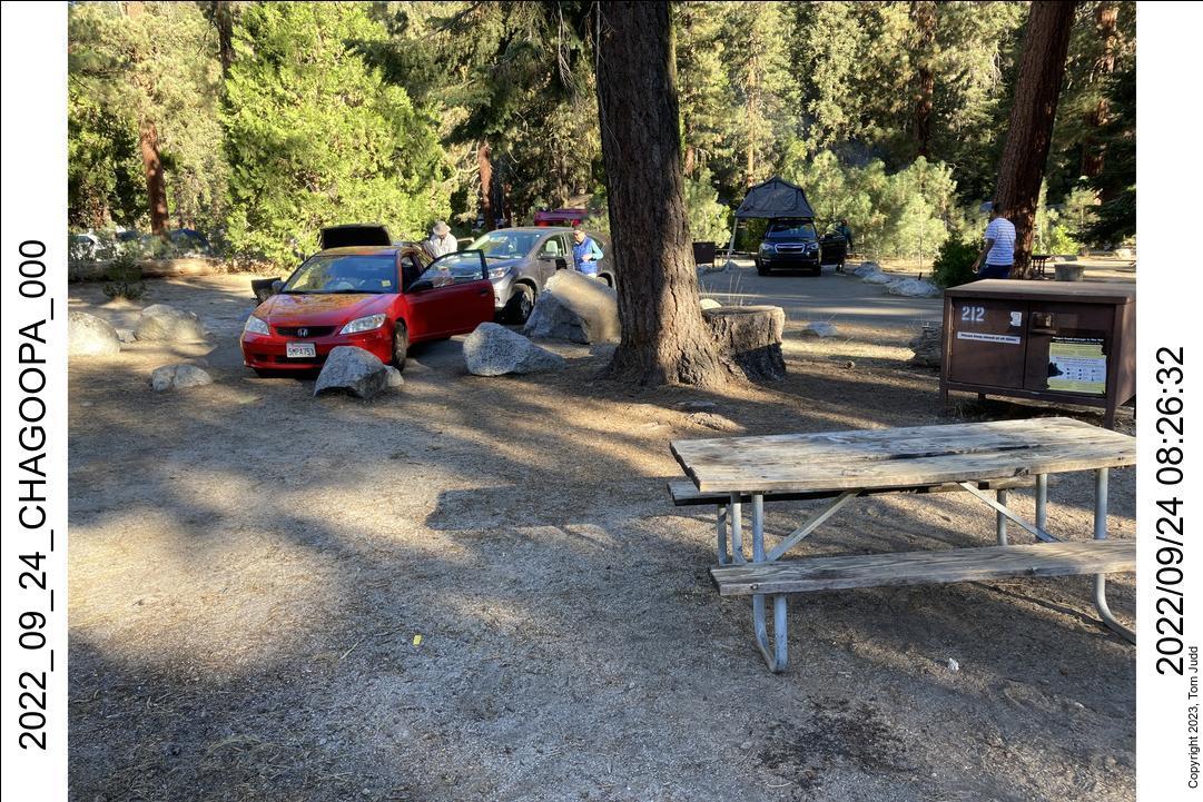 wtn_2022_09_24_chagoopa_000