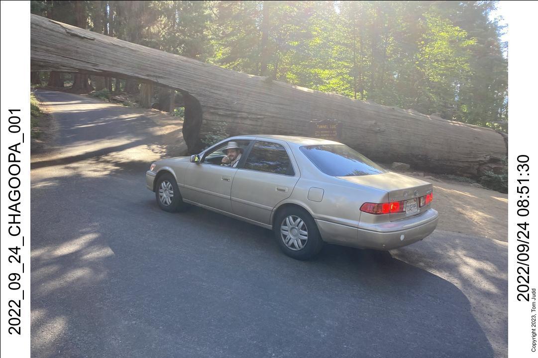 wtn_2022_09_24_chagoopa_001