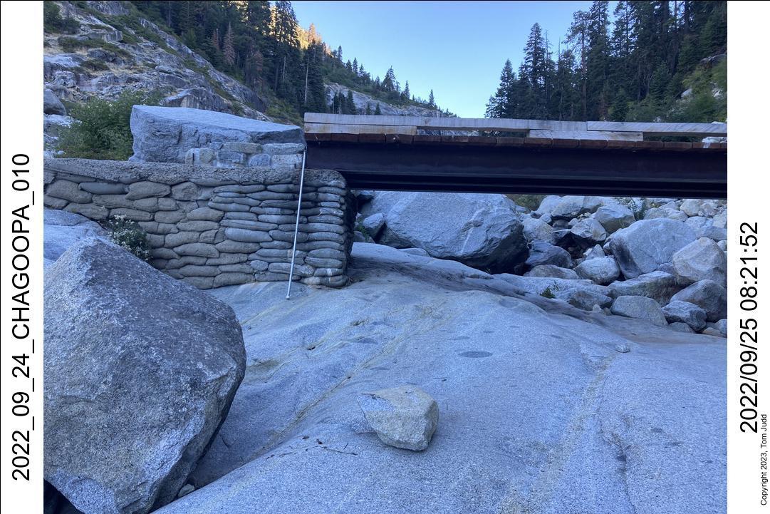 wtn_2022_09_24_chagoopa_010