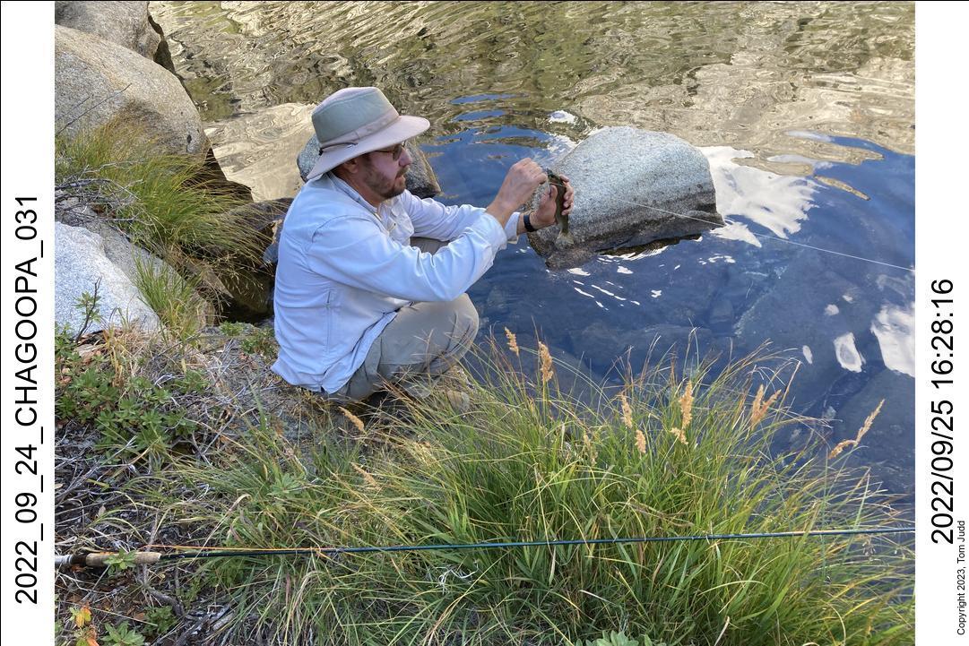 wtn_2022_09_24_chagoopa_031