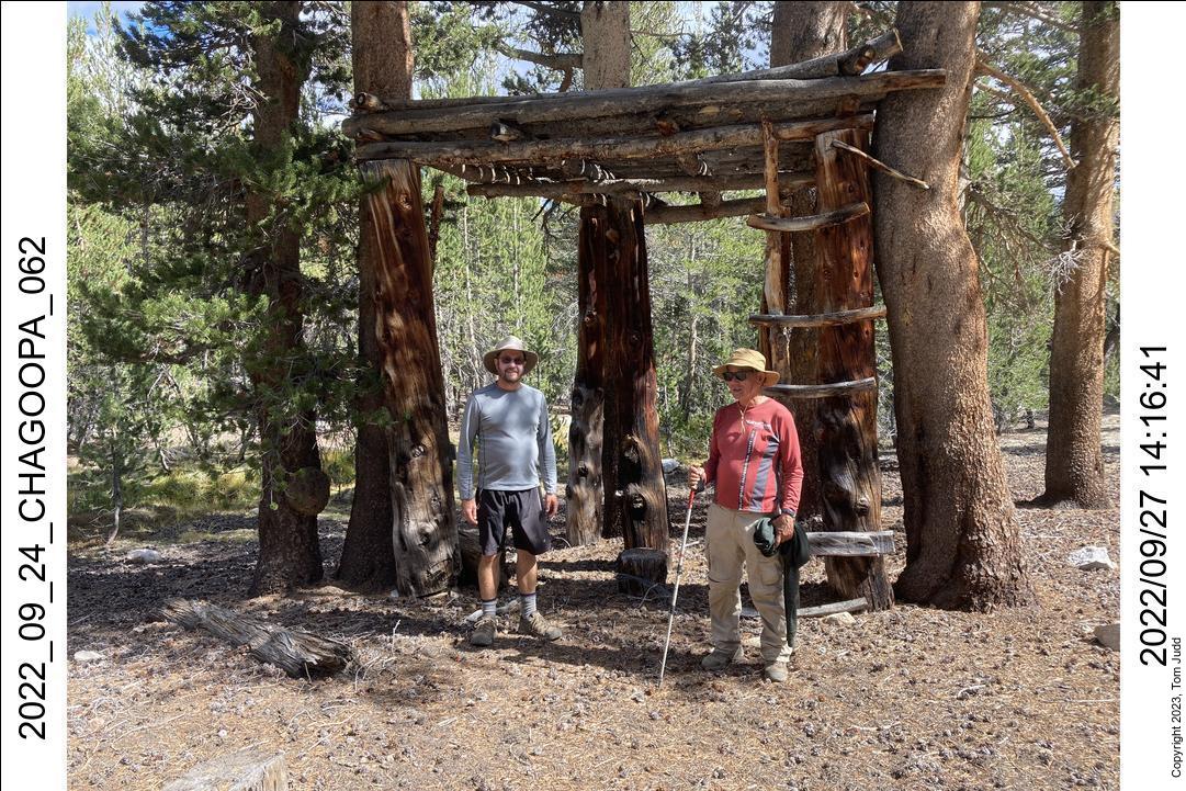 wtn_2022_09_24_chagoopa_062