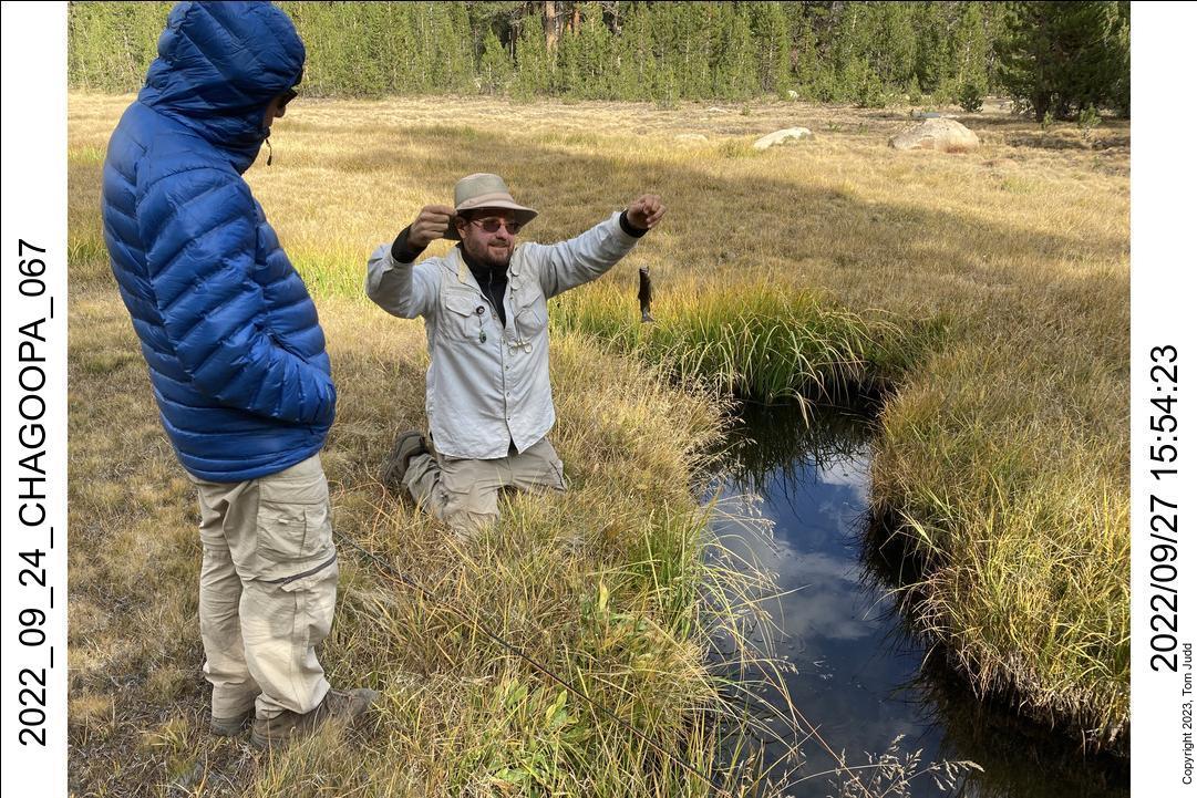 wtn_2022_09_24_chagoopa_067