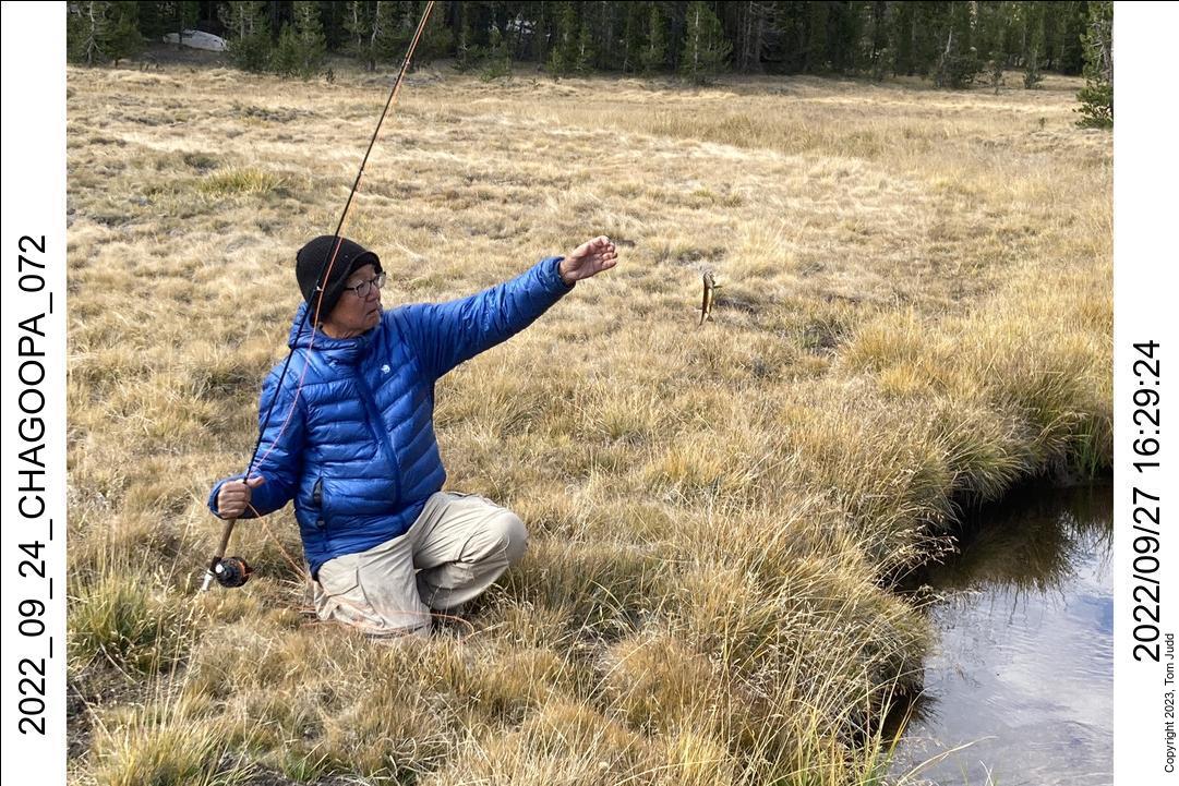 wtn_2022_09_24_chagoopa_072