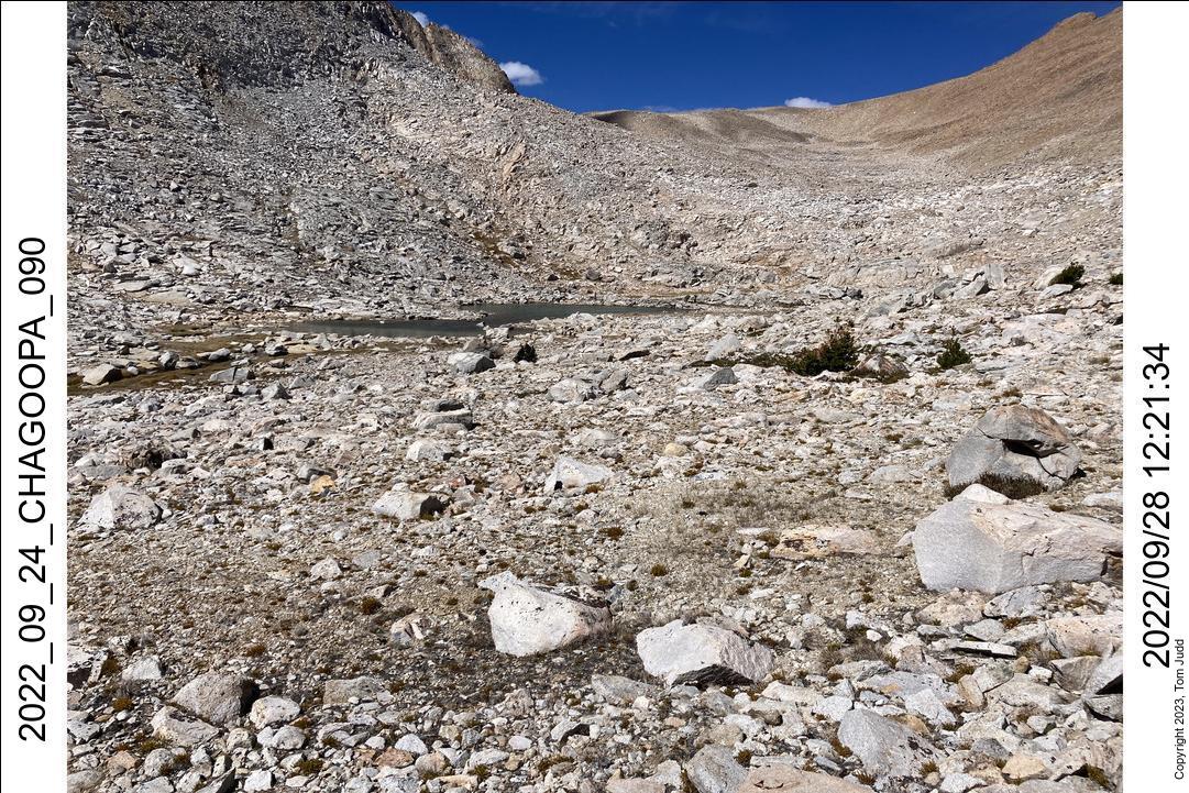 wtn_2022_09_24_chagoopa_090