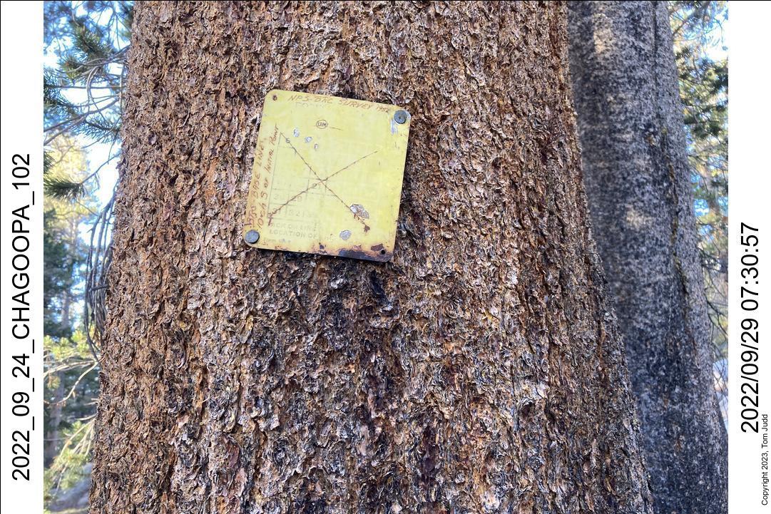 wtn_2022_09_24_chagoopa_102