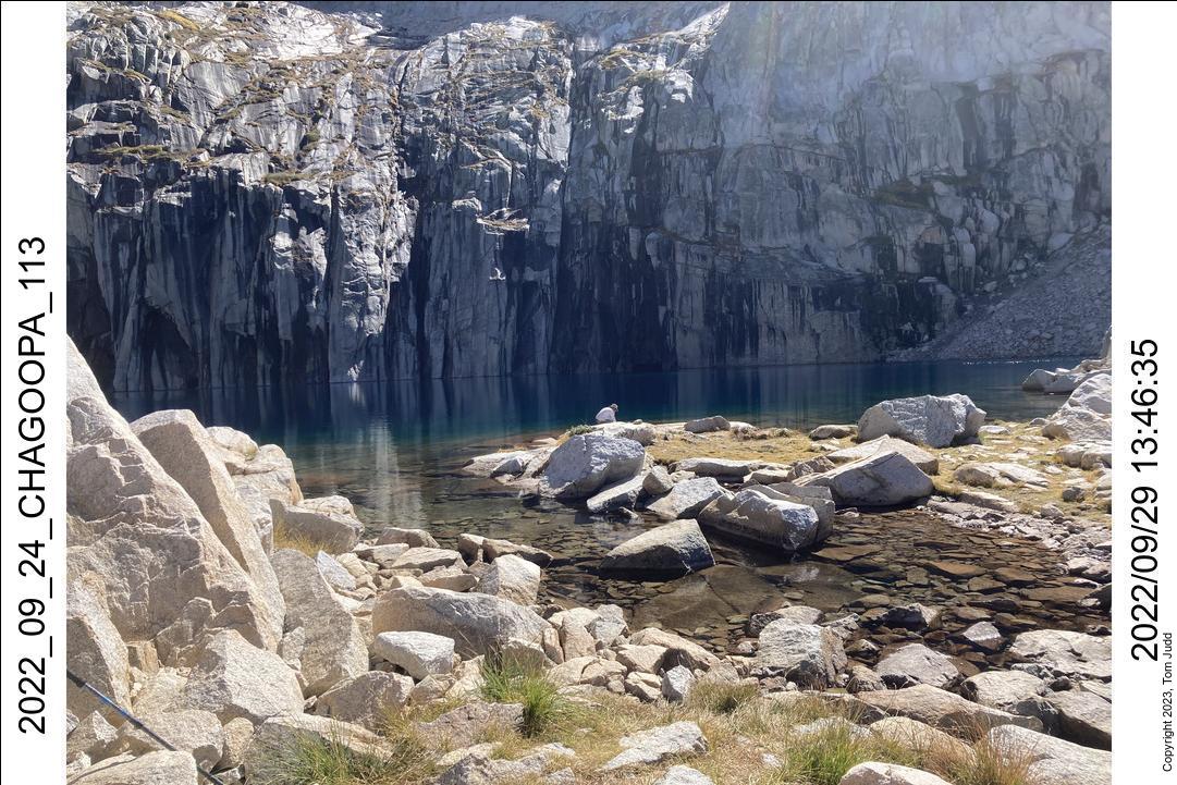 wtn_2022_09_24_chagoopa_113