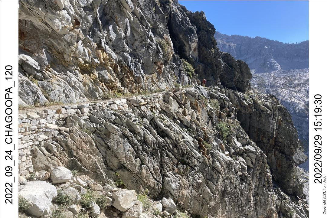 wtn_2022_09_24_chagoopa_120