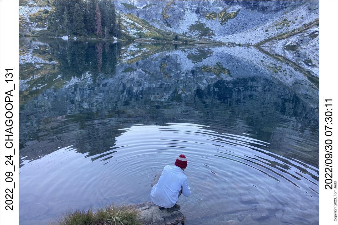 wtn_2022_09_24_chagoopa_131