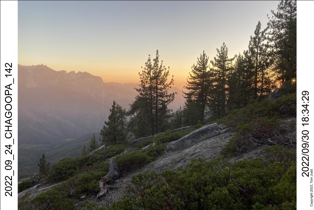 wtn_2022_09_24_chagoopa_142