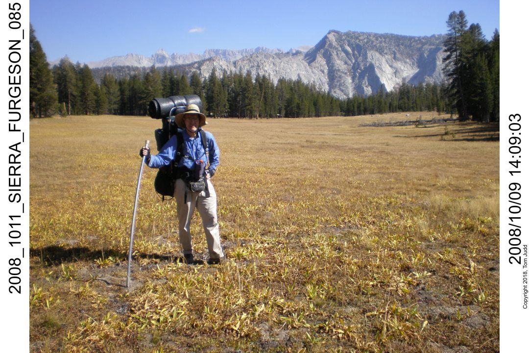 2008 hiking pole
