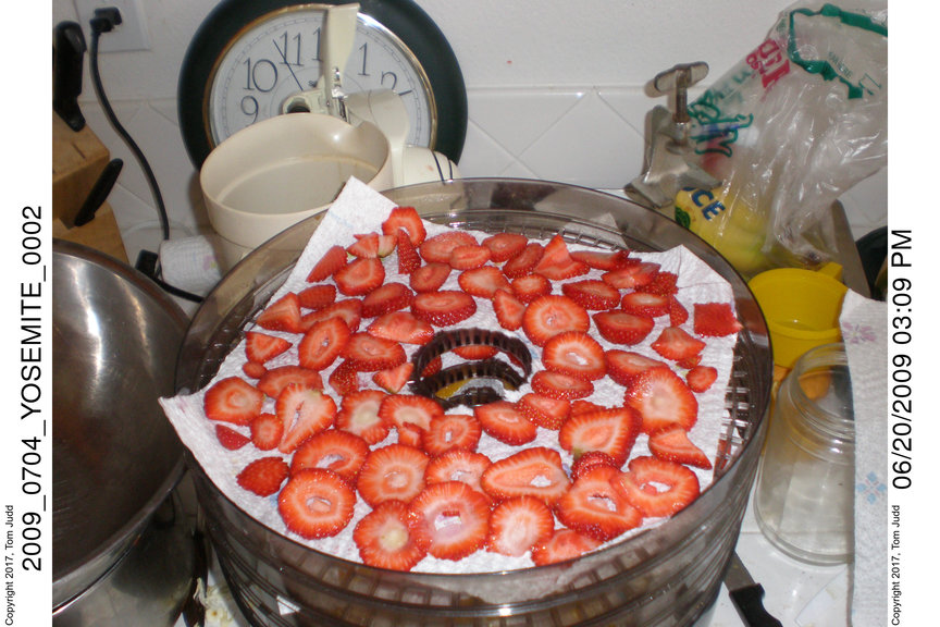 Dehydrated Strawberries